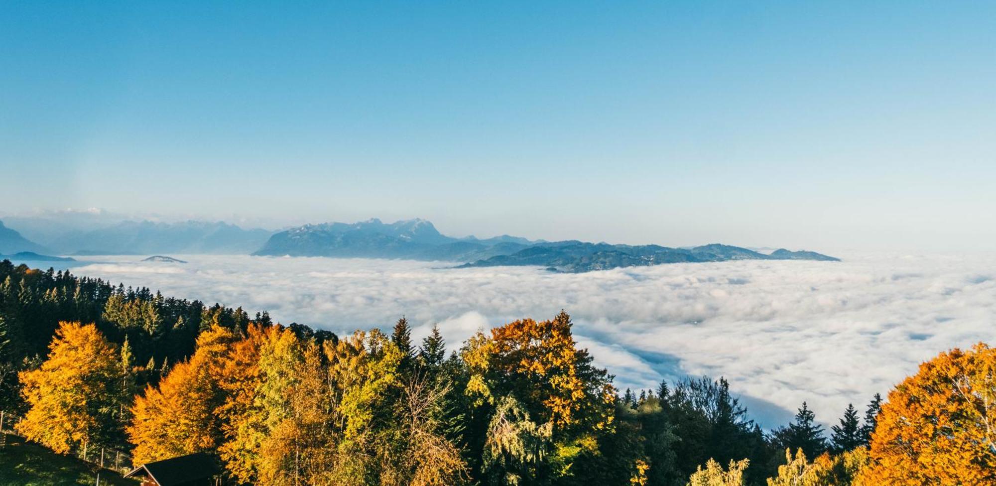 Seeblick Bregenz - Mit Parkgarage Zewnętrze zdjęcie
